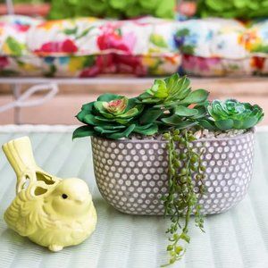 Faux Succulent Mix in 9" Oval Cement Planter----SO CUTE!!